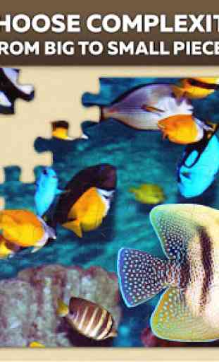Fish jigsaw puzzles 1