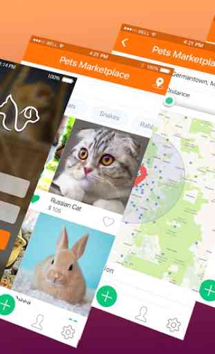 Pets Marketplace: Buy, Sell & Adopt Shop 4
