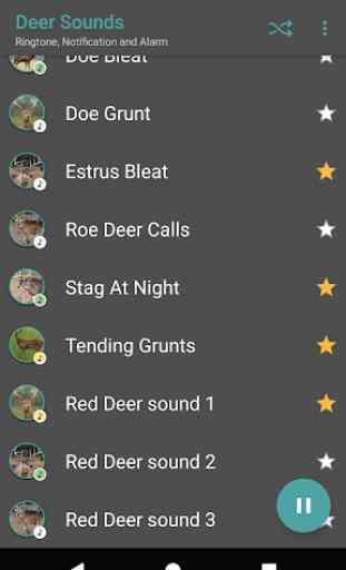 Appp.io - Deer Sounds 3
