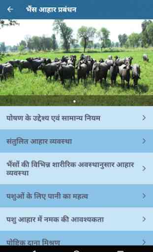 ICAR-CIRB Bhains Poshahar (Buffalo Nutrition) App 4