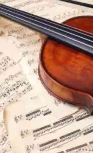 Impara il violino da casa. 1