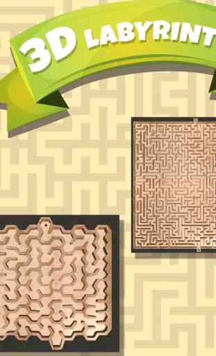 classico gioco del labirinto 3D 1