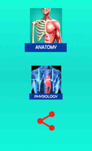 Anatomy and Physiology Notes 2