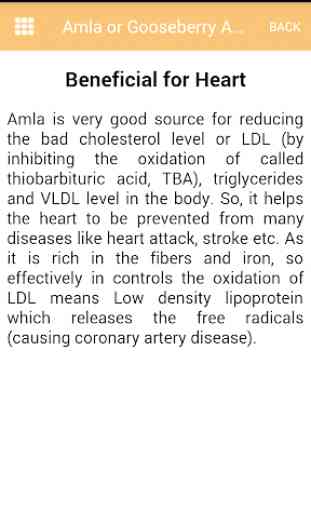 Amla or Gooseberry Amazing Health Benefits 4