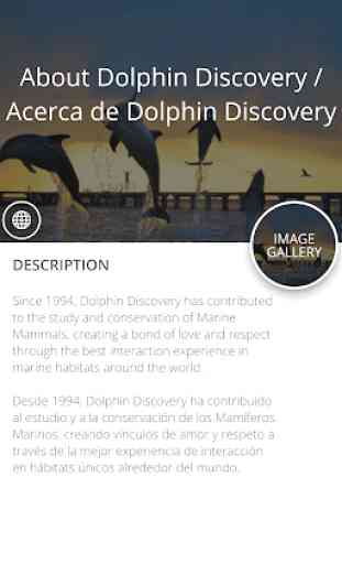 Dolphin Discovery Group 4
