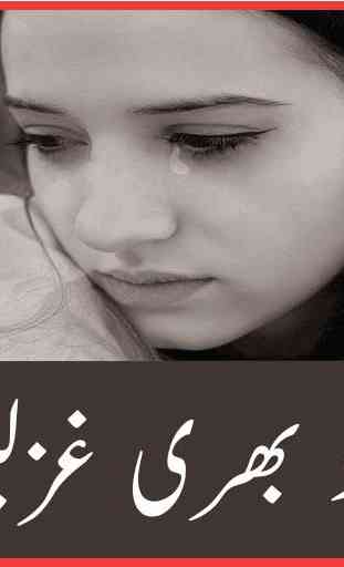 Ghazal Book Urdu 2