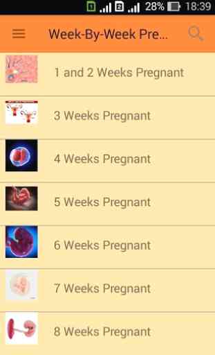 Pregnancy and childbirth. Pregnancy Calendar. bump 3