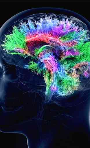 Rewire Your Brain 2