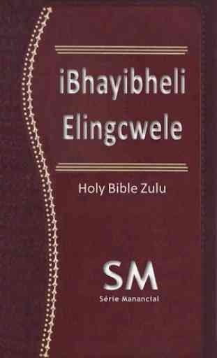 Bíblia em Zulu 1