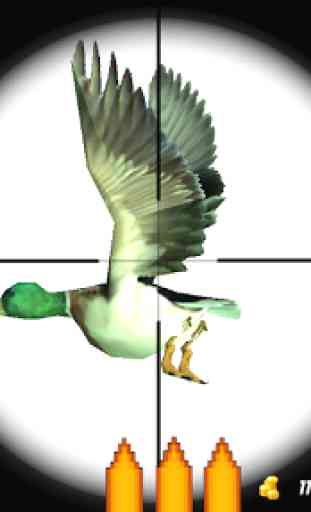 Duck Hunting Unlimited 3D 4