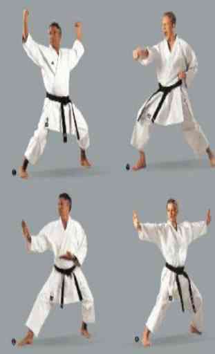 guide sport karate 2