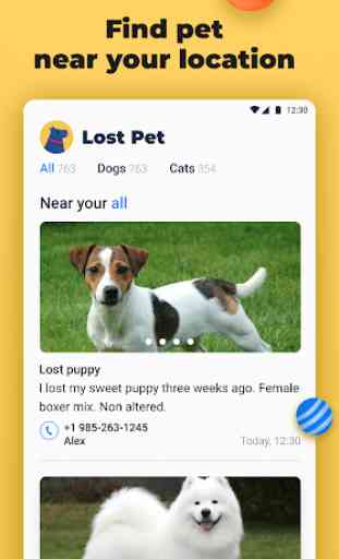 Lost Pet — find my lost pet 2