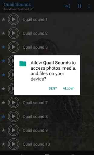 Quail Sounds ~ Sboard.pro 3