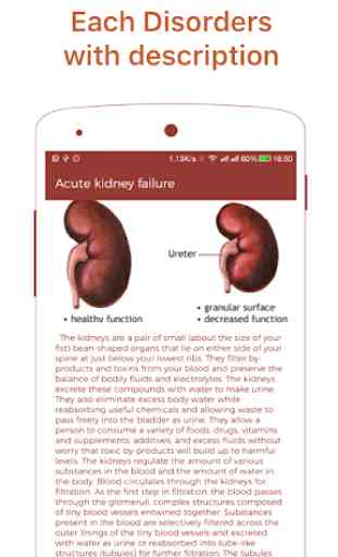 Kidney Diseases & Treatment 3