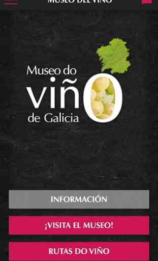 Museo del Vino de Galicia 1
