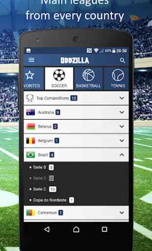 Oddzilla - Sports Odds and Surebets 4