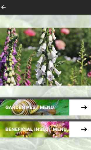 Organic Garden Pest Management 1