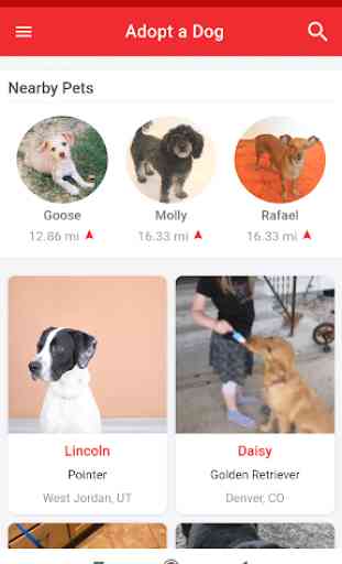 Pets Adoption: Adopt Dog, Cat and Other Pets 1