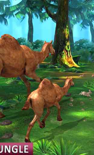 Camel Family Life Simulator 4