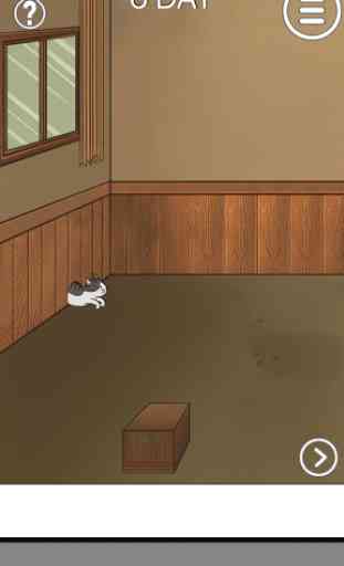 Find the Cat - Escape challenge game 1