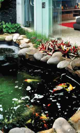 Giardino di Pesce Pond Design 1