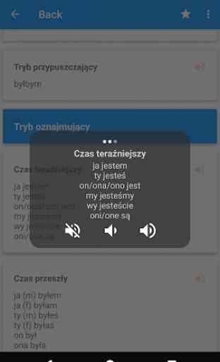 Polish Conjugation 4