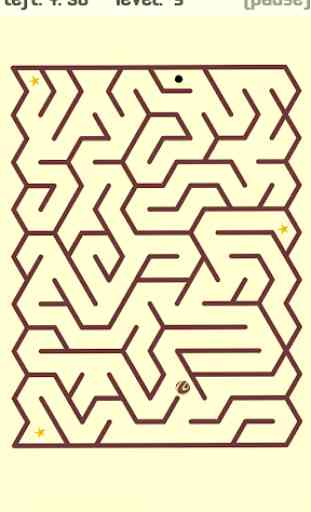 Maze-A-Maze: il labirinto 2