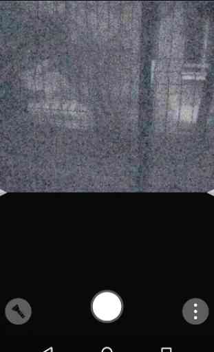 Ferret Night Vision Camera - visione notturna 2