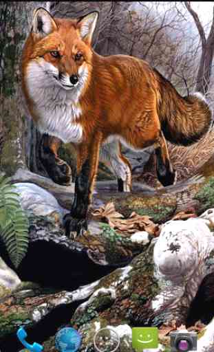 Fox Wallpapers 4