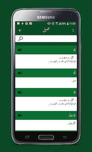 Urdu Dictionary 2