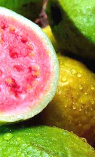Guava Benefits 4