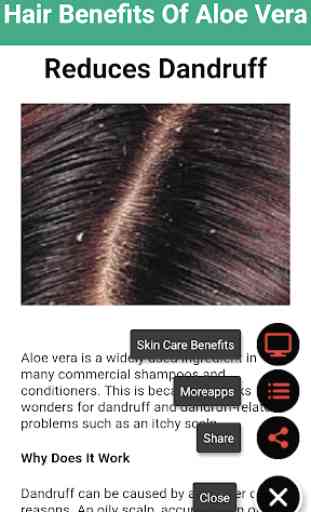 Health Benefits Of Aloe Vera 4