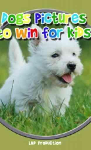 cane foto per vincere per i bambini - giochi gratis 1