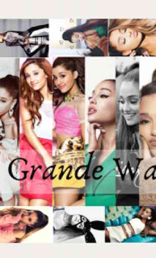 Ariana Grande Wallpapers 1