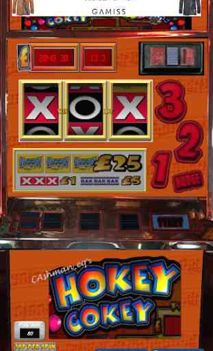 Hokey Cokey Arena UK Slot Machine (Community) 3