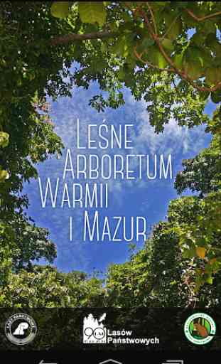 Leśne Arboretum Warmii i Mazur 1