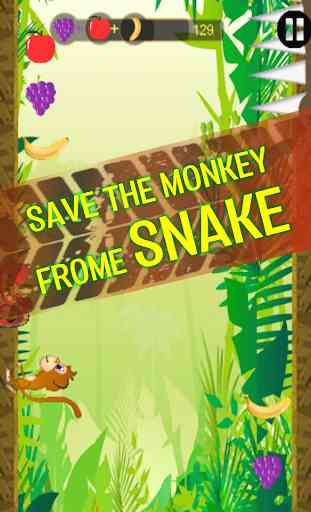 Jungle Monkey Run Adventure - Banana Game 4