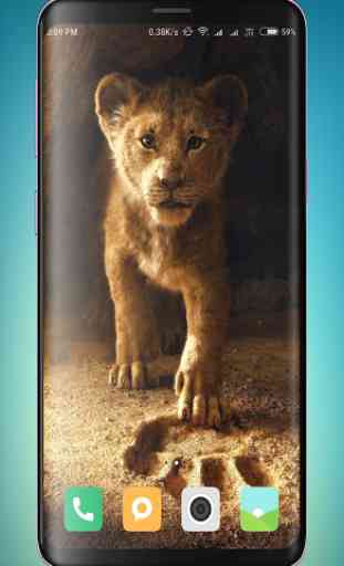 Lion Wallpaper HD 3