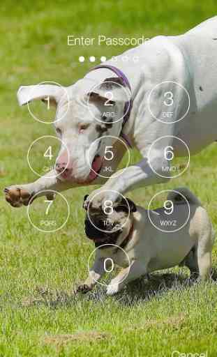 Pug Run Cute Dog Lock Screen 2