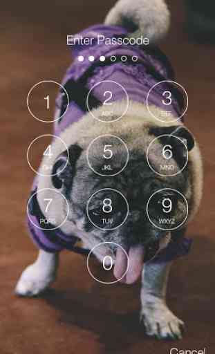 Sweet Pug Puppy Lock Screen 2