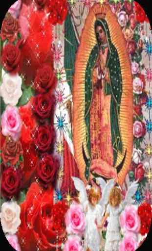 Virgen De Guadalupe Entre Rosas Fondo Animado 1