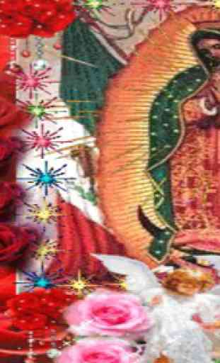 Virgen De Guadalupe Entre Rosas Fondo Animado 3