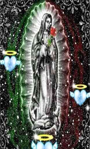 Virgen De Guadalupe Nevando Fondo En Movimiento 1