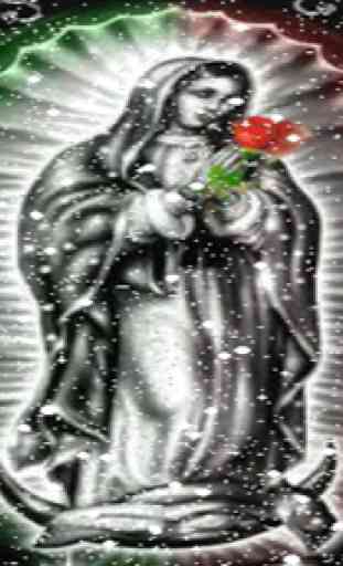 Virgen De Guadalupe Nevando Fondo En Movimiento 3