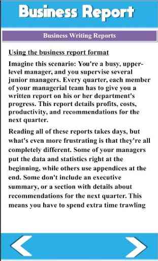 Business Report Writing 3
