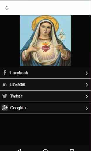 Imagenes de la Virgen: Virgen de Guadalupe 4