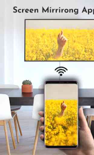 Screen Mirroring 2019 : Connect Mobile to TV 2