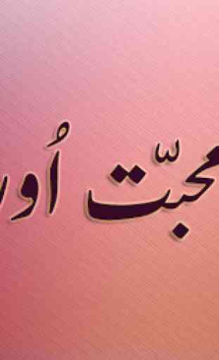 Aik Muhabbat Or Sahi - Urdu Novel - Hashim Nadeem 1