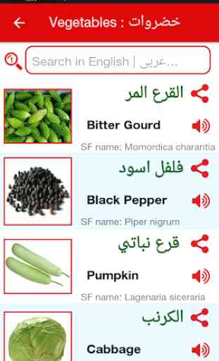 Arabic Word Book 2