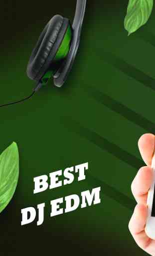 Best DJ EDM 1